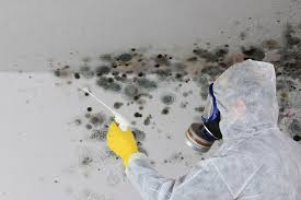  , USA Mold Removal Pros